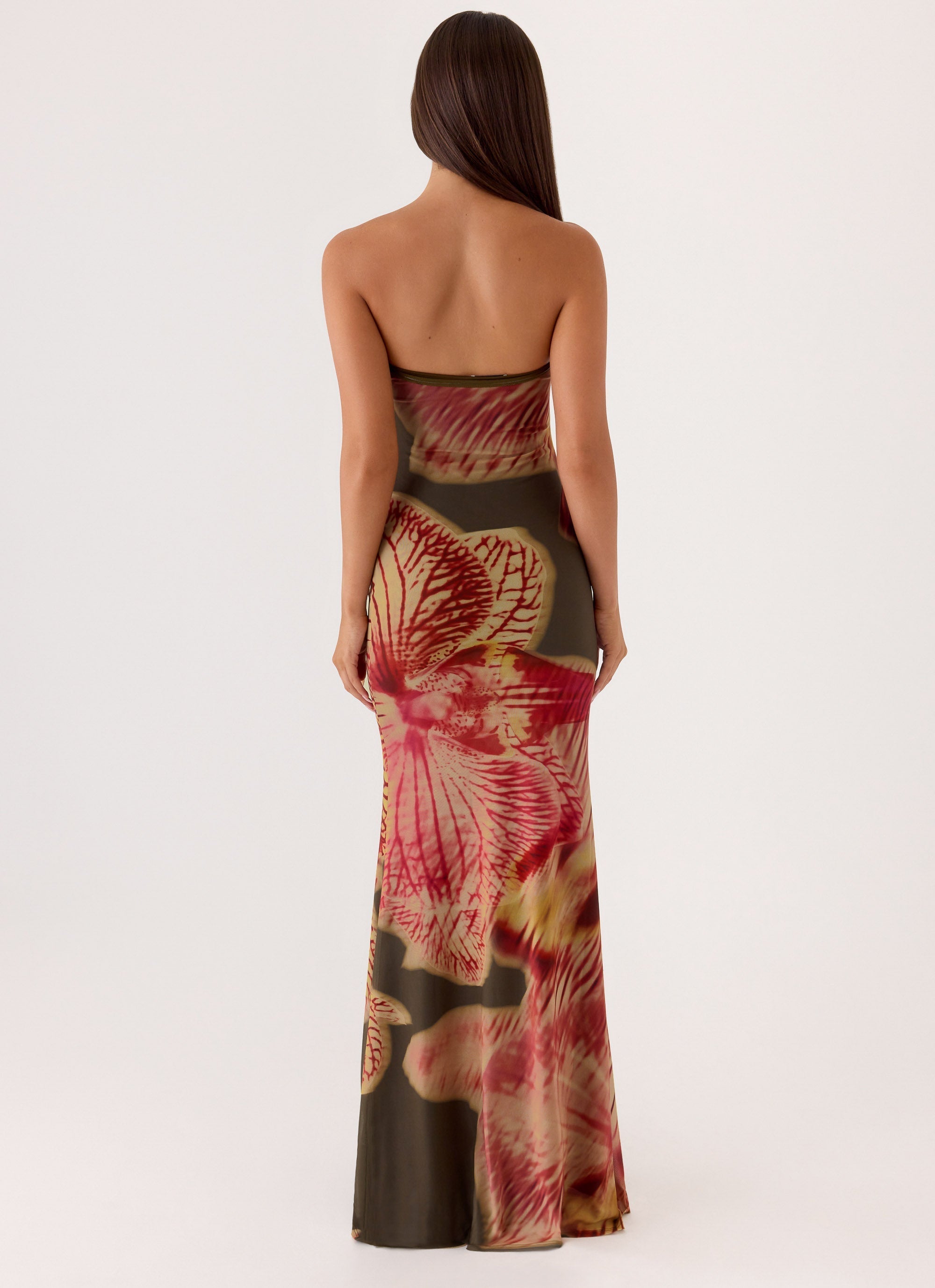 Averelle Strapless Maxi Dress