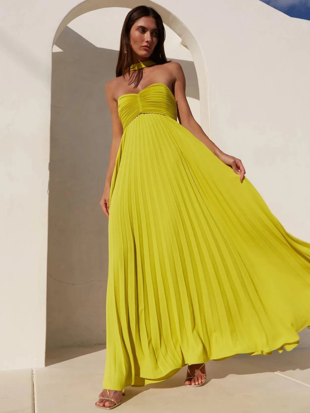 Avenya Pleated Maxi Dress