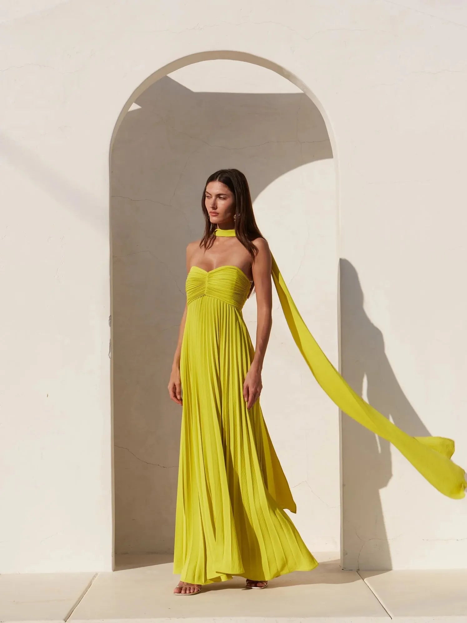 Avenya Pleated Maxi Dress